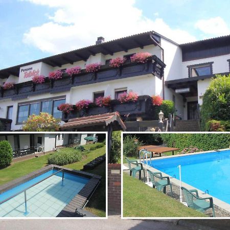 Pension Talblick Höchst im Odenwald Zewnętrze zdjęcie